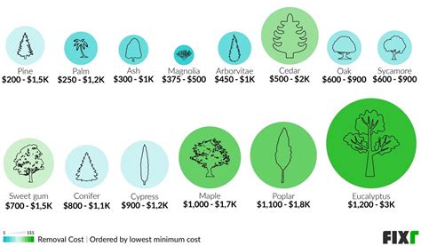 2021 Tree Removal Cost Cost To Cut Down A Tree