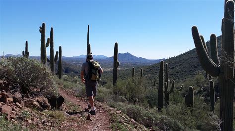 It is native to the sonoran desert in the u.s. Sun Corridor hiking trail proposed by state leaders ...
