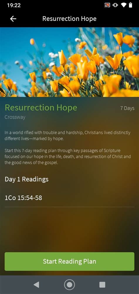 Descargar Olive Tree Bible App 711 Apk Gratis Para Android