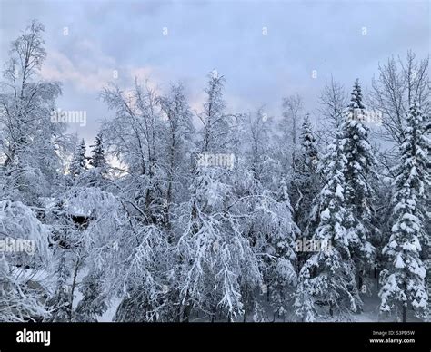 Alaska Anchorage Snowstorm Hi Res Stock Photography And Images Alamy