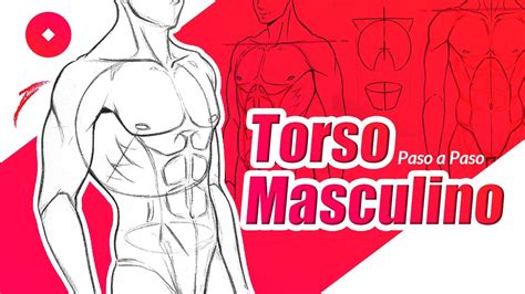 Como Dibujar Torso Masculino Tutorial De Dibujo De Anatomía Guz