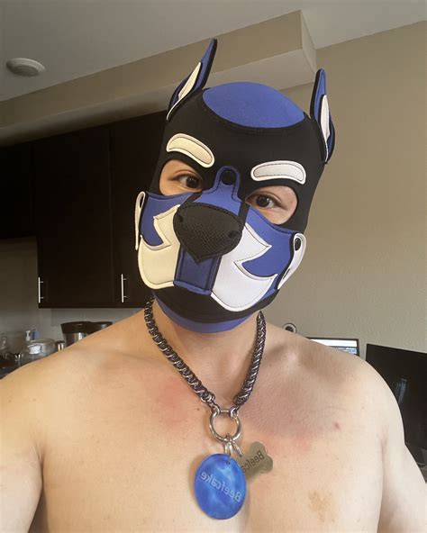 beefcake 🔜 dore alley on twitter big tags for big pup 🐶 tysm for the amazing necklace