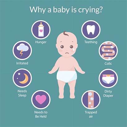 Crying Why Language Reasons Cry Babies Colic