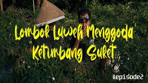Film Komedi Maling Lombok Youtube