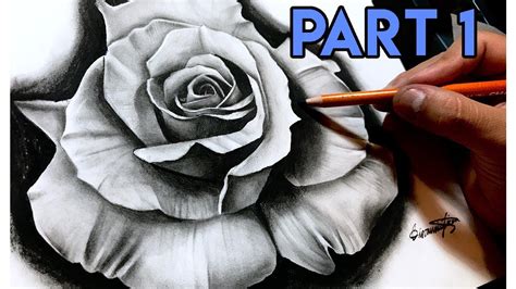 How To Draw A Realistic Rose Best Tutorial Part 1 Youtube