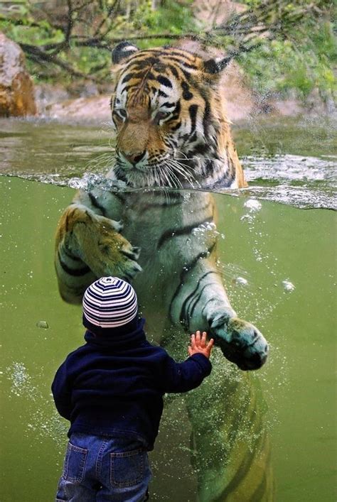 21 Times Kids Visited The Zoo And Had Some Special Encounters With The
