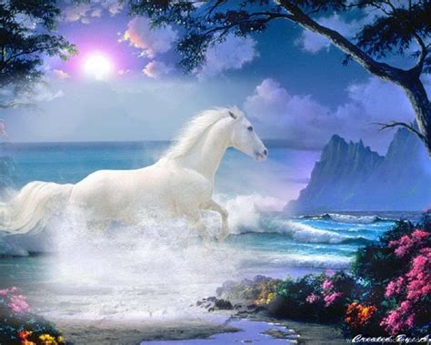 Beautiful White Horse Wallpaper Desktop Background