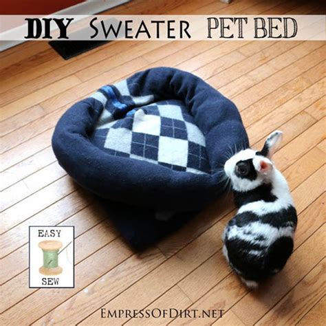 15 Pet Projects And Recipes Pioneer Settler