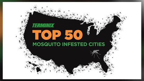 Terminix Releases List Of Top 50 Mosquito Cities Pct Pest Control