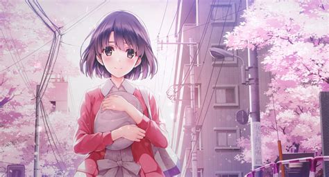 Anime Cherry Blossom Falling Animated