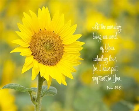 Sunflower Bible Verse Etsy