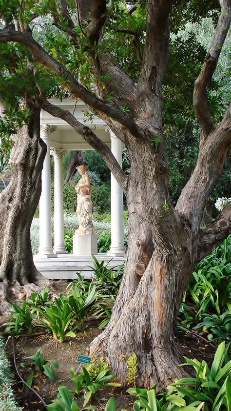 Do you want to grow your own food, but worry that you don't have time to tend to a garden? Low-Maintenance Outdoors: Woodland Garden | outdoortheme.com