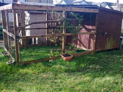 Nathan Keslers Falconry Blog Alternative Mews Construction
