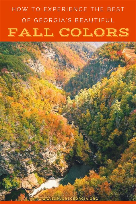 How To Experience The Best Of Georgias Beautiful Fall Colors Georgia