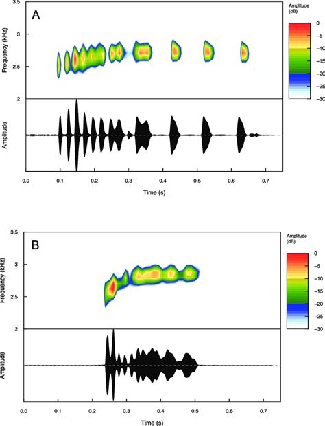 Spectrograms And Oscillograms Of One Call From A A Paratype Ibh