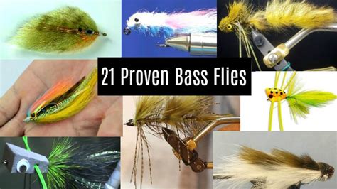 Bass Flies 21 Proven Fly Fishing Patterns That Catch Bass Guide