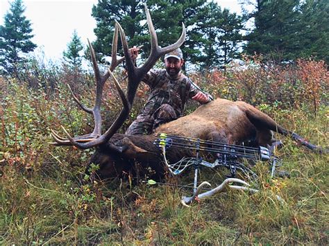 Elk Hunting Trips Rifle Archery Big Bull Elk Hunts 53 Off