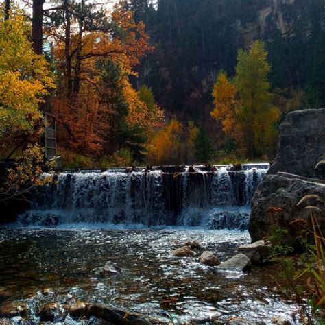 Spearfish Canyon In The Fall Fan Photofridayblack Hills And Badlands