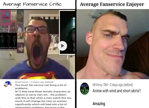 Fan Vs Enjoyer Meme Template