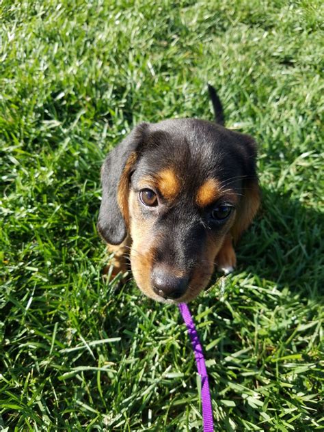 Our clinic in lockland is the only resource of its kind in the greater cincinnati area. Pet Store | Cincinnati, OH | Animal House