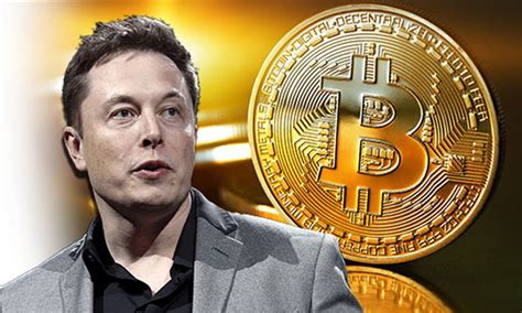 However, his tweets cannot be trusted because of his popularity for trolling on social media. Elon Musk Reveals Cryptocurrency Holdings - Spotlight ...