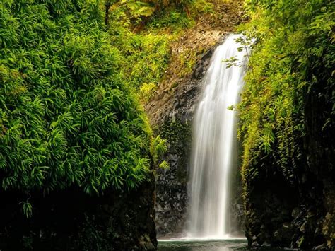 10 Magnificent Waterfalls In Fiji Worthy Of A Hike International