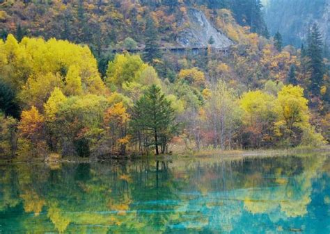 Huanglong Scenic Area Yellow Dragon Jiuzhaigou