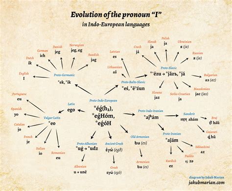 Evolution Of The Pronoun I In Indo European Languages Jakubmarian