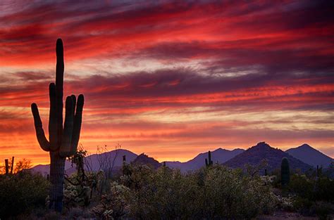 Red Hot Sonoran Sunset Photograph By Saija Lehtonen Fine Art America