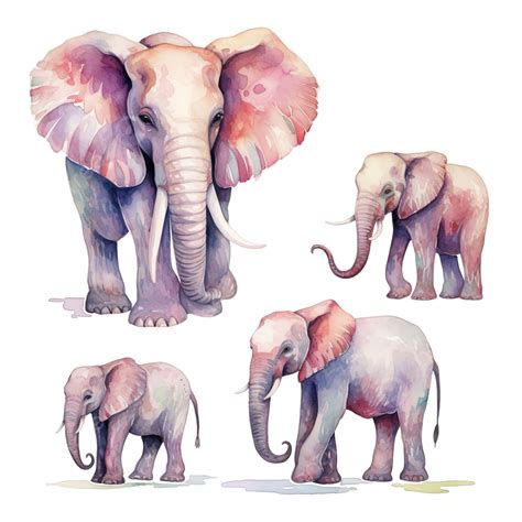 Watercolor Elephant Clip Art Watercolor Hand Drawn Clip Art Png