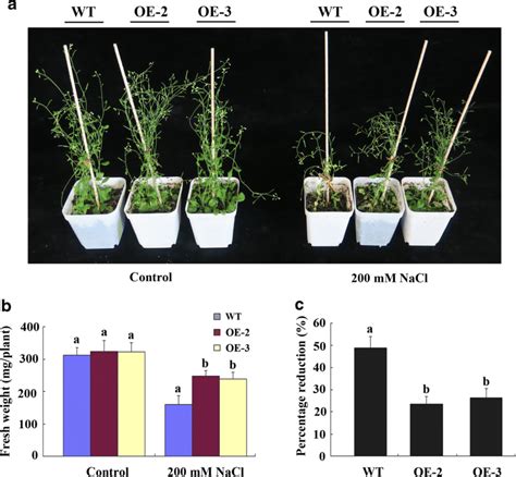 Change In The Growth Of Arabidopsis Plants In Soil Supplied With NaCl