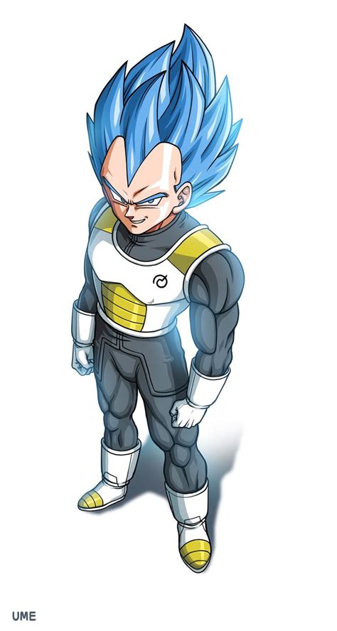 Each time you progress in level, it will be complicated with more pieces and with a higher level of difficulty. Super Saiyan God Super Saiyan SSGSS Vegeta | dragon ball ...