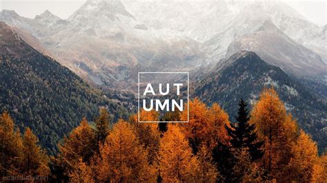 Check spelling or type a new query. Fall Wallpaper Aesthetic Computer | mywallpapers site in ...