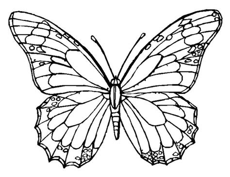 Breezy point city hall, 8319 county road 11, breezy point, mn 56472 by wednesday, july 21st. Printable butterfly-coloring-page - Coloringpagebook.com