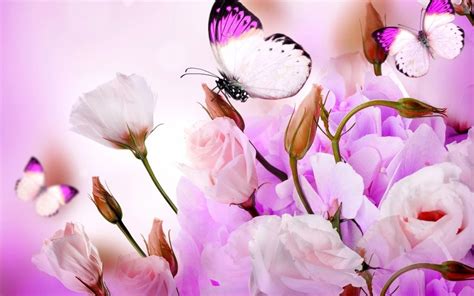 Es kann schützen die tapete von schäden perfekt während lieferung. flower-with-butterfly-wallpaper-hd-download-high-quality ...