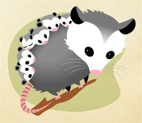 Images About Possums On Cartoon And Clipart Cartoon Drawings Art