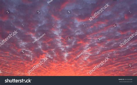 Soft Sunset Sky Background Gradient Orange Stock Photo 561026908