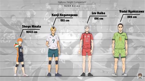Anime Character Height Comparison