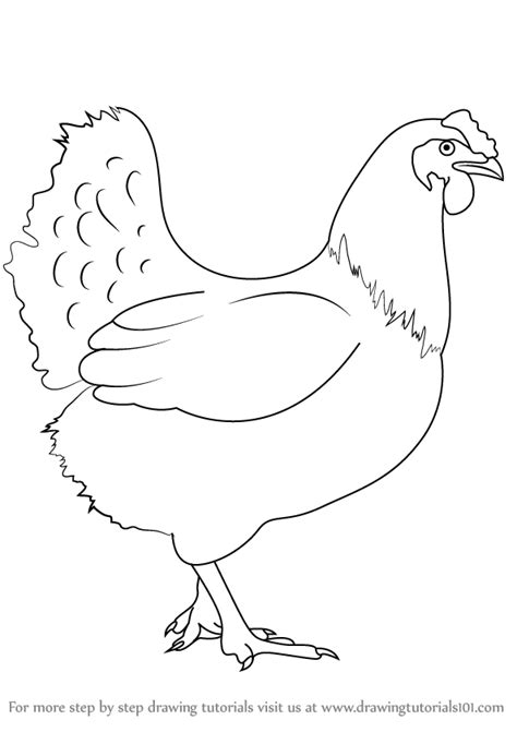 Granted there are some related books on drawing animals but these aren't always enough. Chicken Drawing at GetDrawings | Free download