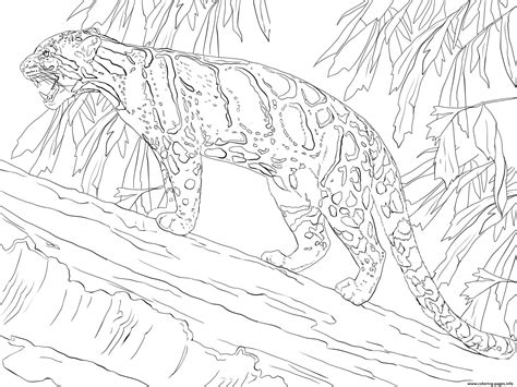 Clouded Leopard Standing On Tree Coloring Pages Printable