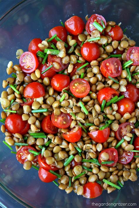 Discover foods highest in fiber. The Garden Grazer: 5-Minute Lentil Tomato Salad