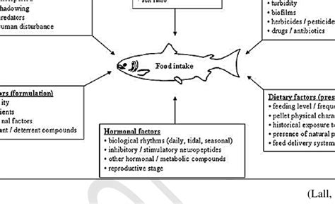 Gambar Berbagai Faktor Yang Mempengaruhi Perilaku Makan Pada Ikan