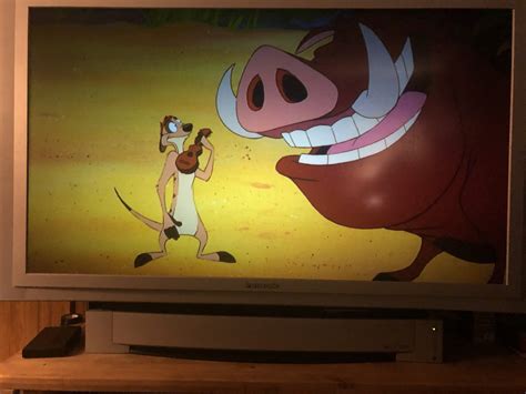 Timon And Pumbaa The Complete Series 3 Seasons With 85 131 Segments On 5 Blu Ray Discs In 720p Hd