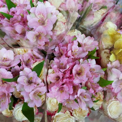 These spring flowers also symbolize rebirth. Pink flowers symbolize gentility and happiness. Buy them ...