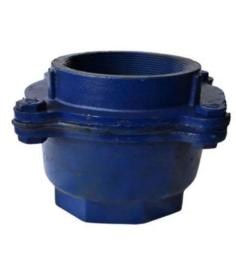 Cast Iron Check Valve For Industrial Screwed At Rs 140 In Rajkot Id