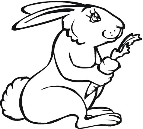 Bunny Rabbit Eating A Carrot Coloring Page For Kids Printable