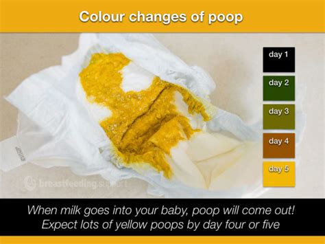 Pin On Baby Tips Baby Hacks Pin On Baby Tips Poop Color Chart For