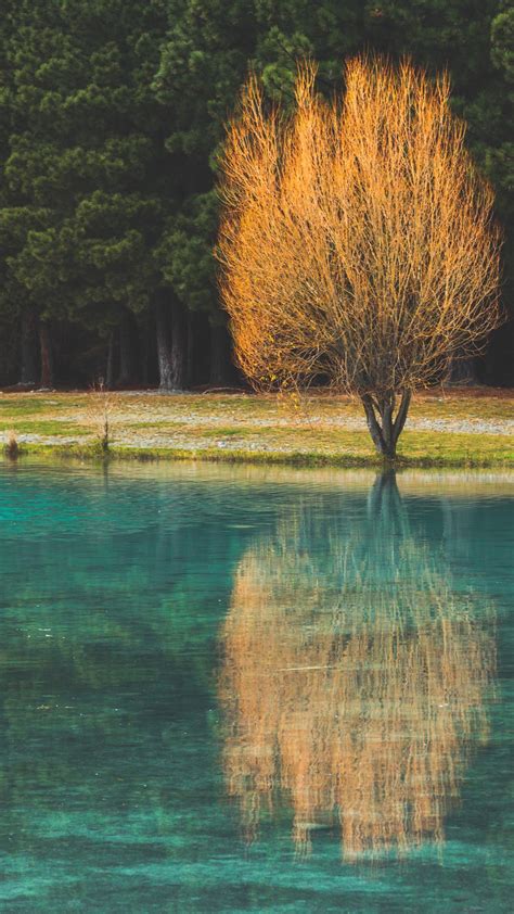 Green Pools With Autumn Coloured Pine Trees Twizel Lake Pukaki South