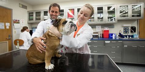 At university west pet clinic, providing care to the pets and pet owners of clive, iowa is our passion. Purdue University Veterinary Teaching Hospital - 16 ...