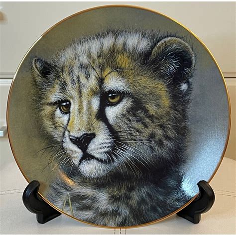 princeton gallery cub of the big cats cheetah 8in collectors etsy